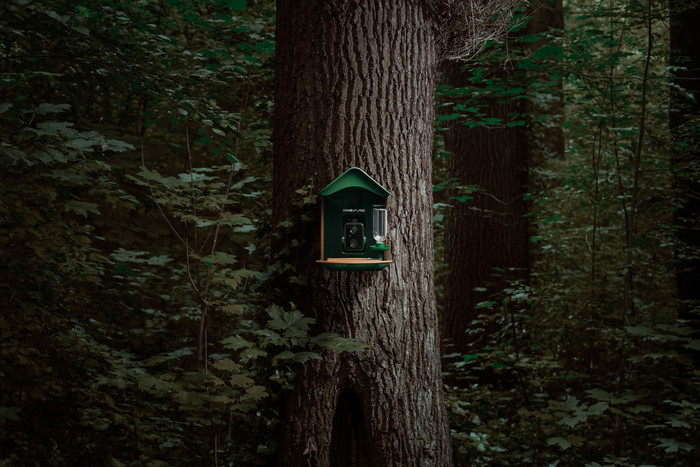 Camouflage EZ-BirdFeed product in gebruik
