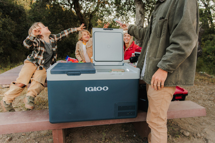 Igloo ICF80DZ product in use