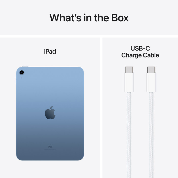 Apple iPad (2022) 10.9 inch 64GB Wifi Blauw + Apple Pencil 1 (2022) accessoire