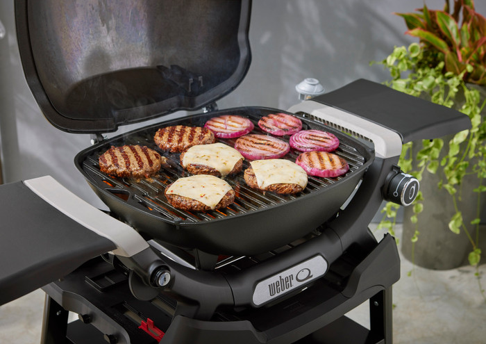 Weber Q1200N with Underframe inside