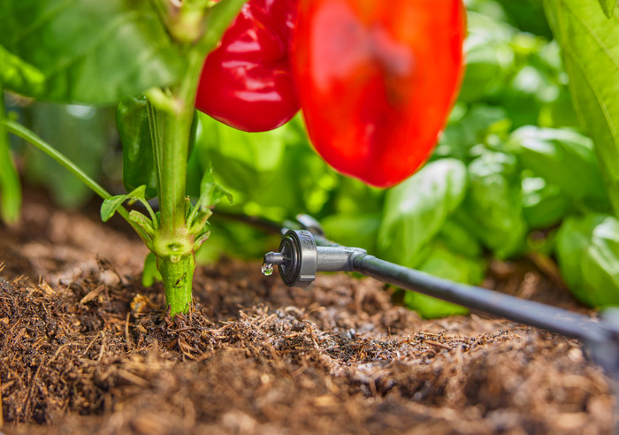 Gardena AquaBloom Set L product in gebruik