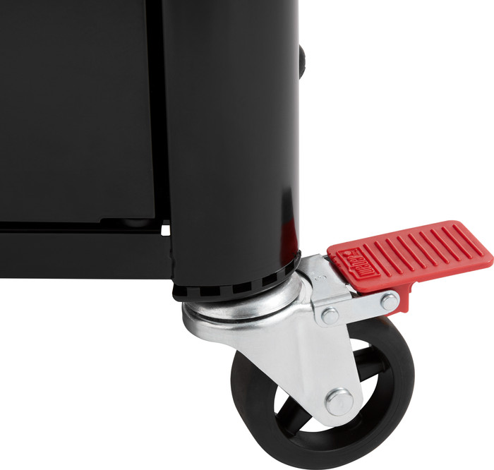 Weber Genesis E-435 detail