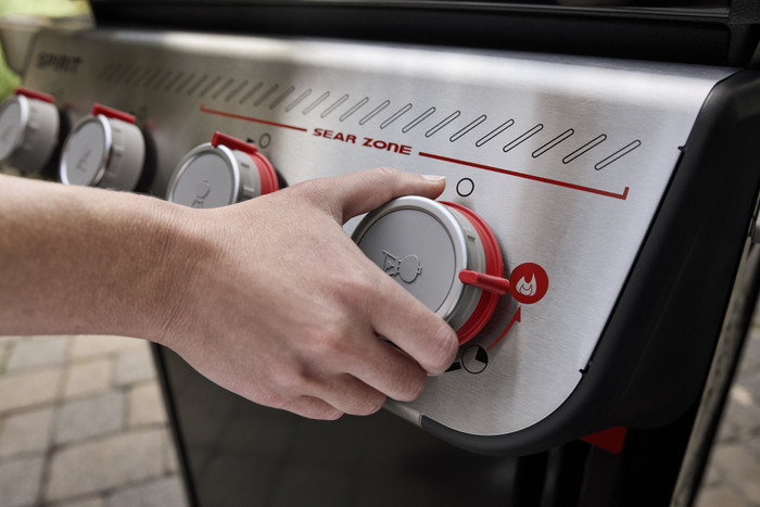 Weber Spirit EP-435 detail