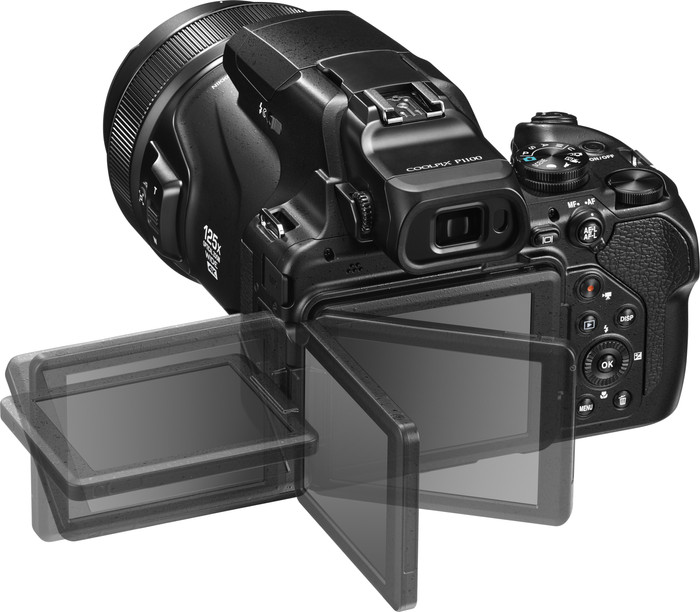 Nikon Coolpix P1100 detail