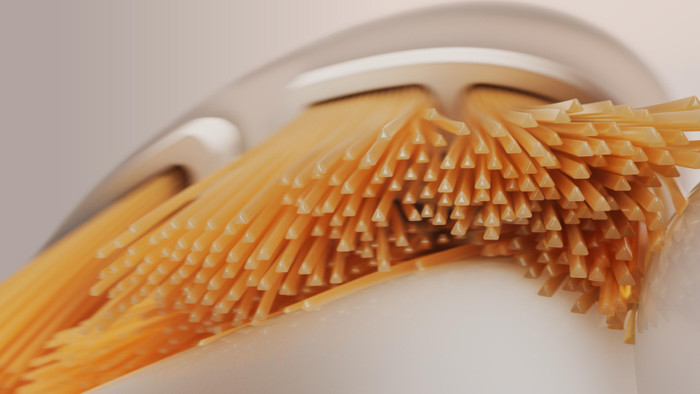 Philips Sonicare Premium All-in-One HX9094/87 White (4 units) product in use