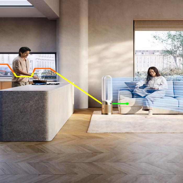 Dyson Purifier Cool PC2 De-NOx - TP12 product in use