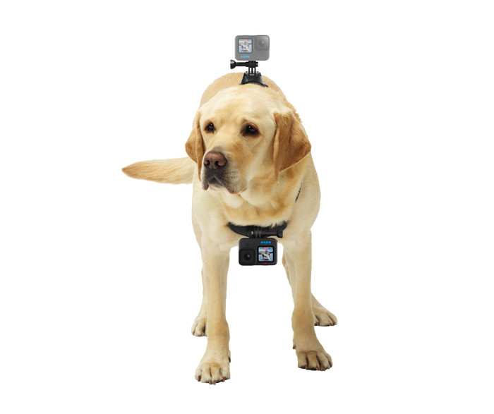 GoPro Fetch Dog Harness visual supplier