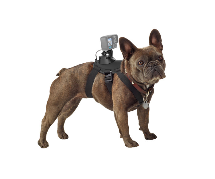 GoPro Fetch Dog Harness visual supplier