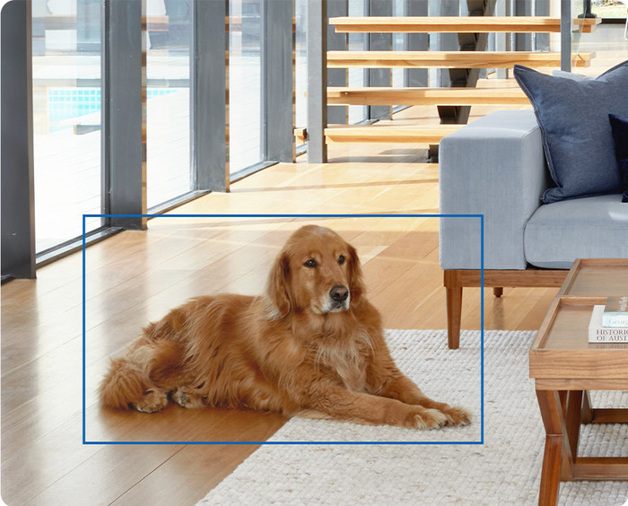 TP-Link Tapo C260 product in use