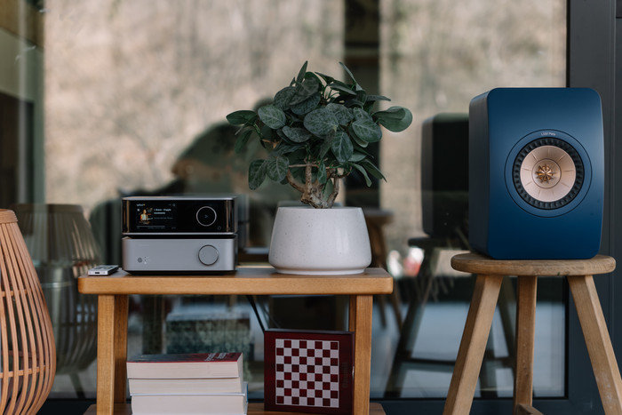 WiiM Vibelink Amp Grijs product in gebruik