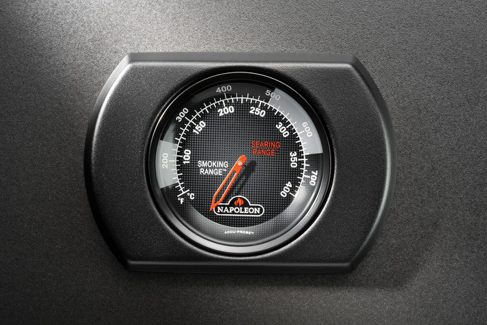 Napoleon Rogue 365 PK detail