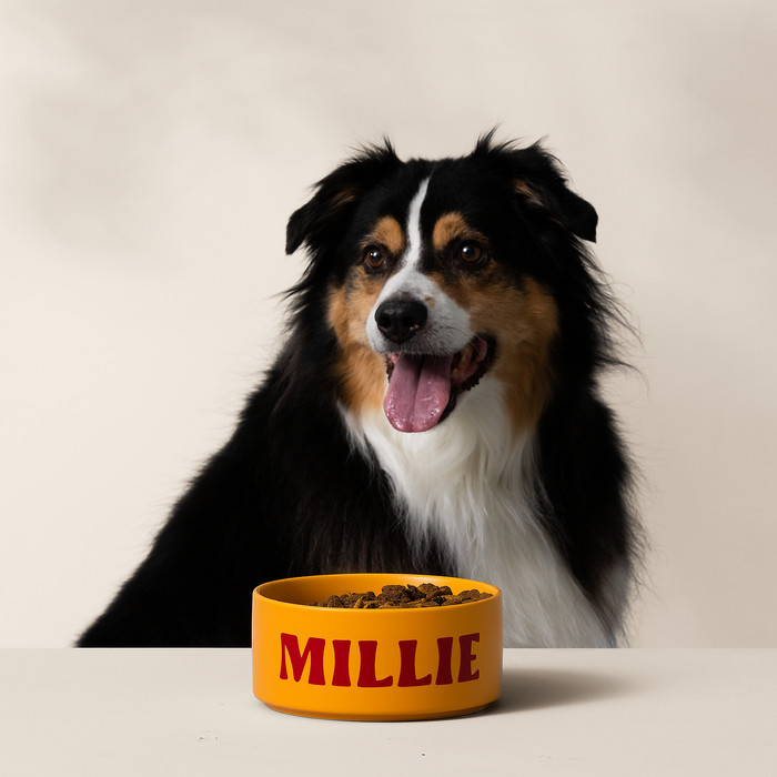 Cricut Joy Xtra Lavender Starter Bundle visual supplier