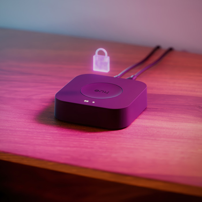 Philips Hue Bridge Pro visual leverancier