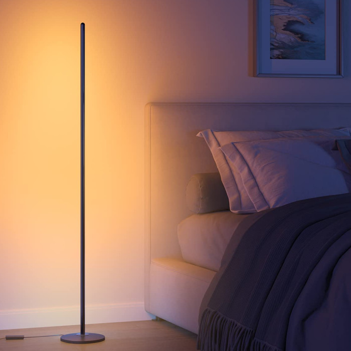 Govee Floor Lamp Basic product in use