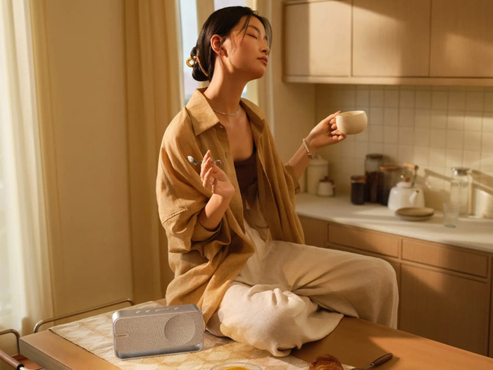 Bose SoundLink Home Speaker Zilver product in gebruik