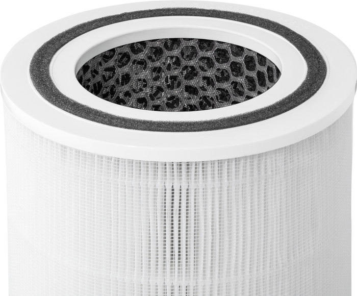 Duux HEPA + Carbon Filter DXPUF06 top
