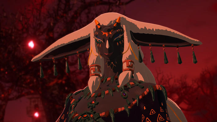 Hyrule Warriors: Age of Imprisonment Nintendo Switch 2 visual supplier