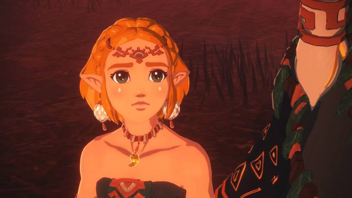 Hyrule Warriors: Age of Imprisonment Nintendo Switch 2 visual supplier