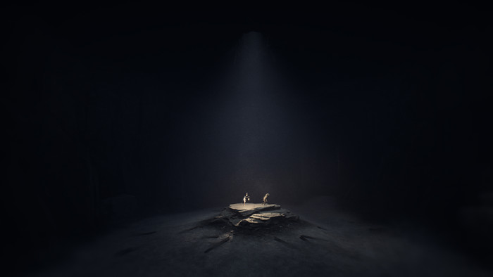 REANIMAL Deluxe Edition PS5 visual leverancier