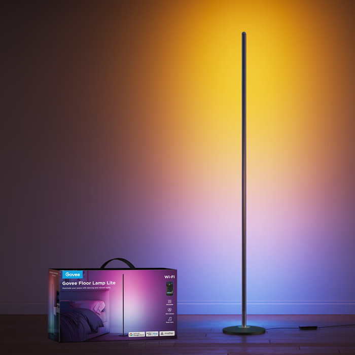 Govee Floor Lamp Lite product in use