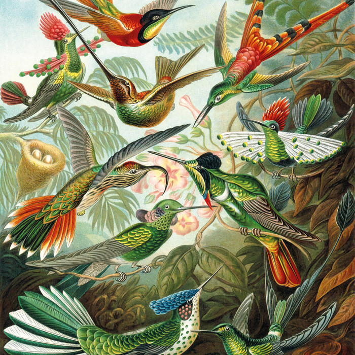 Philips SENSEO Original Plus Limited Edition visual supplier