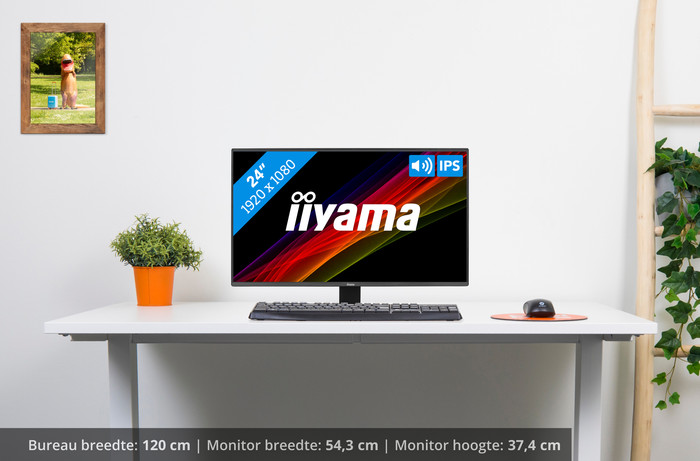 iiyama ProLite X2492HSU-B1 visual Coolblue 1