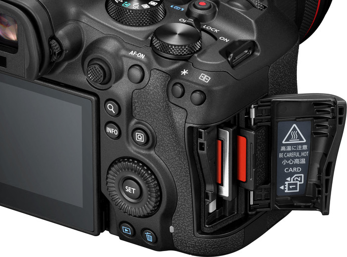 Canon EOS R6 Mark III + RF 24-105mm f/4L IS USM detail