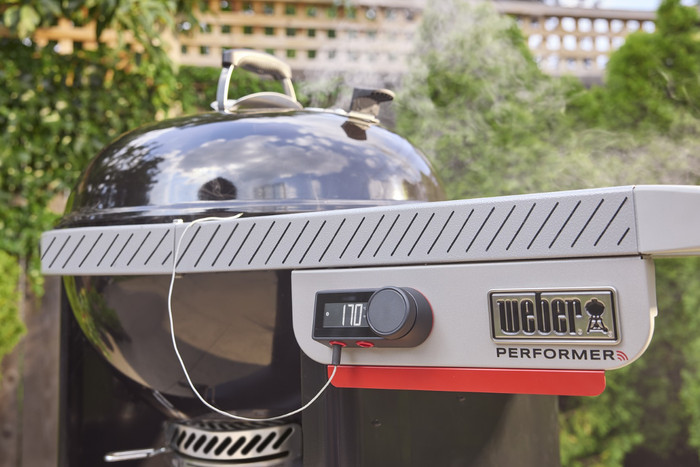 Weber Performer Smart detail