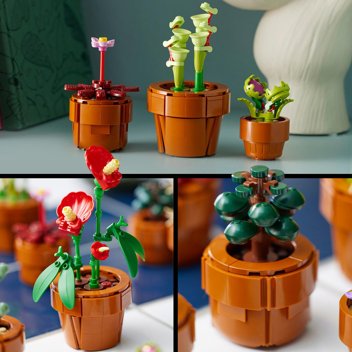 LEGO Botanicals Tiny Plants 10329 product in use
