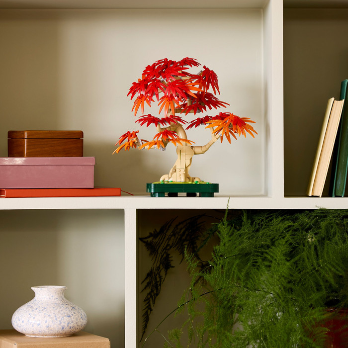 LEGO Botanicals Japanse Esdoorn Bonsaiboompje 10348 product in gebruik