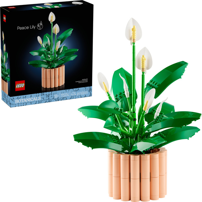 LEGO Botanicals Lepelplant 11504 rechterkant