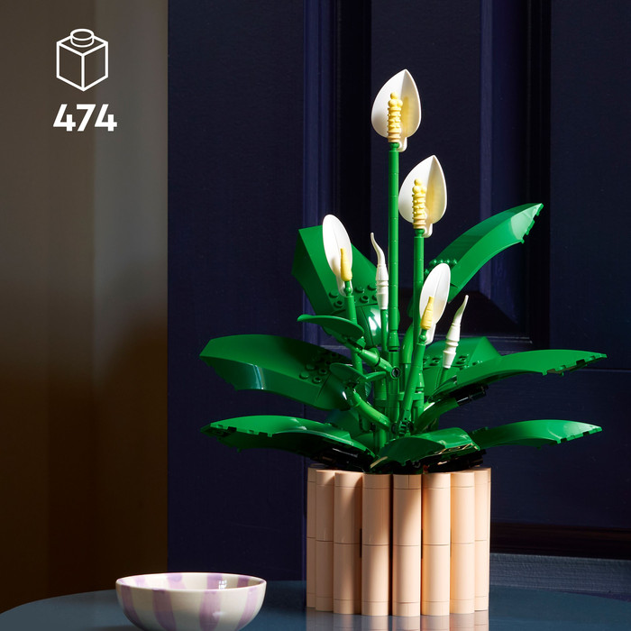 LEGO Botanicals Lepelplant 11504 verpakking