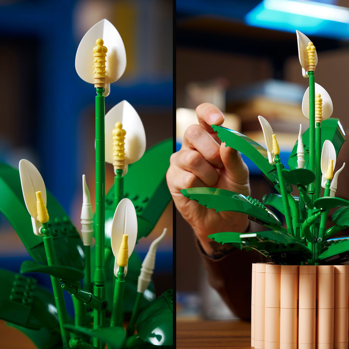 LEGO Botanicals Lepelplant 11504 product in gebruik