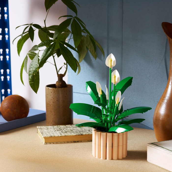 LEGO Botanicals Lepelplant 11504 product in gebruik