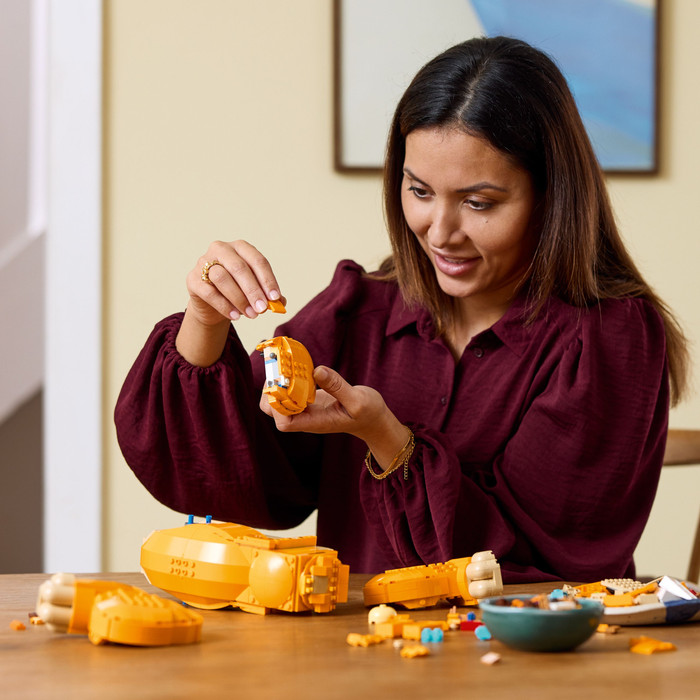 LEGO Disney jonge Simba de Leeuwenkoning 43247 product in gebruik