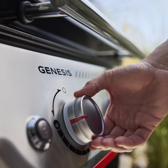 Weber Genesis E-315W detail