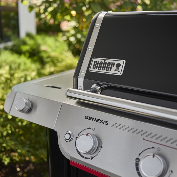 Weber Genesis EP-335W detail