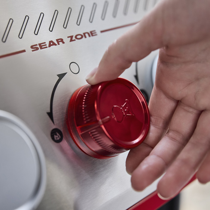 Weber Genesis EP-335W detail