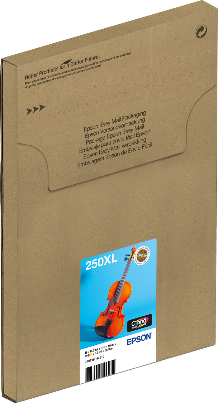 Epson Multipack 6-colours 250XL Inkt Easymail Main Image