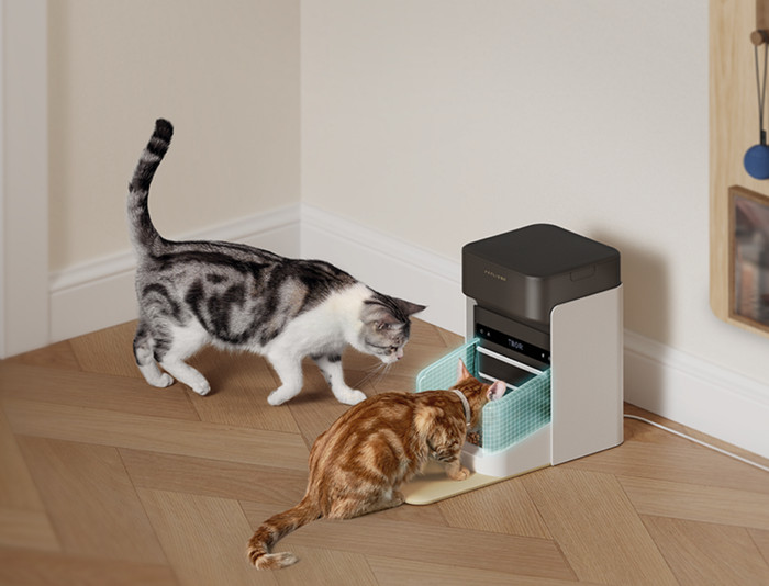 Petlibro Automatische Voerbak met Chipherkenning PLAF301 Zwart product in gebruik