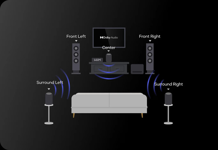 WiiM Sound Lite Zwart visual leverancier