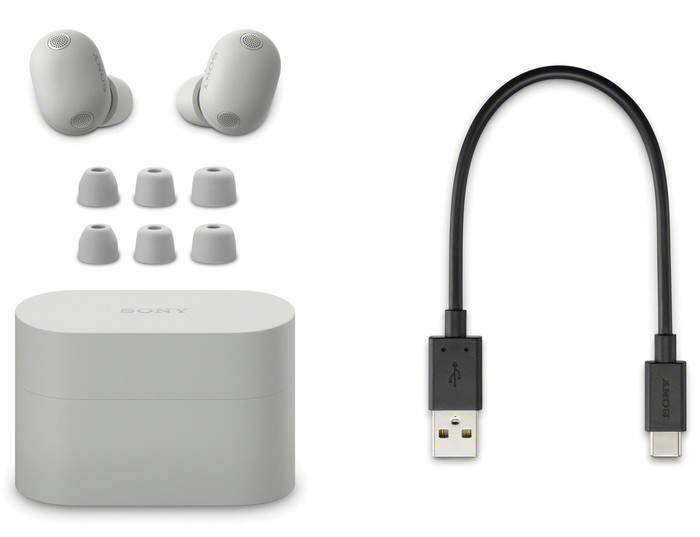 Sony WF-1000XM6 Zilver samengesteld product