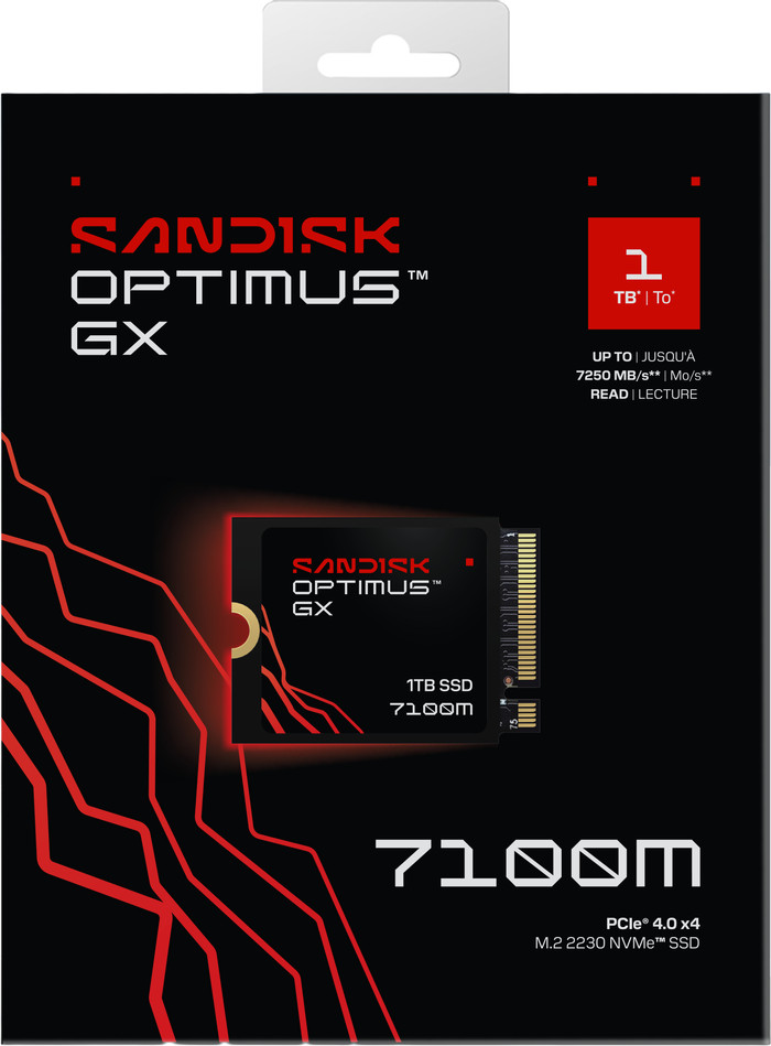 SANDISK Optimus GX 7100M 1TB NVMe SSD Main Image