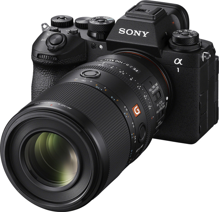 Sony FE 100mm f/2.8 Macro GM OSS product in gebruik