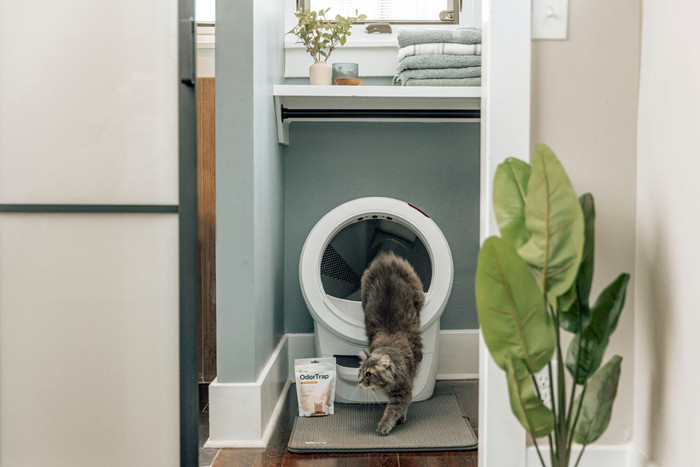 Whisker Automatische kattenbak Litter-Robot 4 Wit product in gebruik