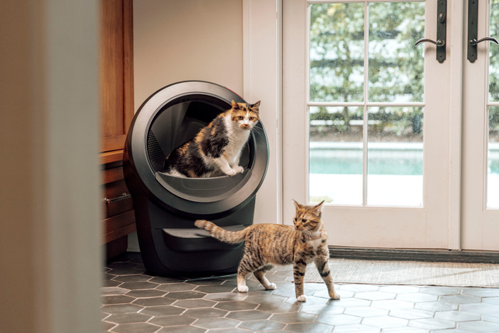 Whisker litter robot 4 Zwart product in gebruik