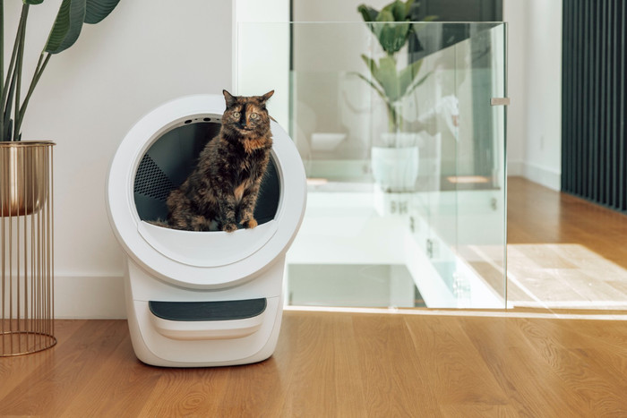 Whisker Automatische kattenbak Litter-Robot 4 Wit product in gebruik