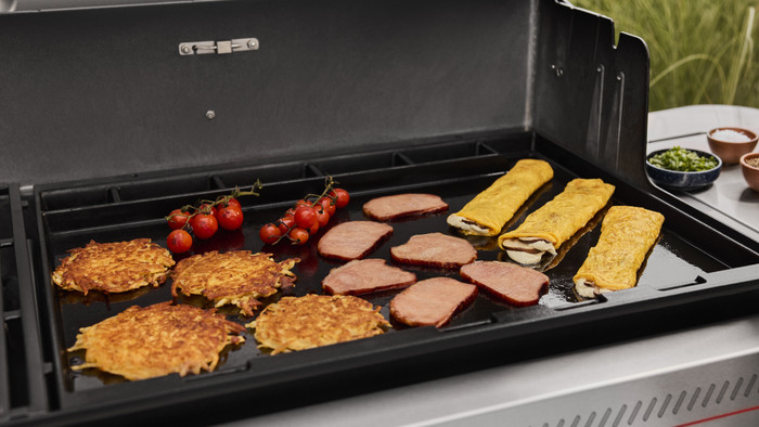 Weber Genesis E-315W product in use