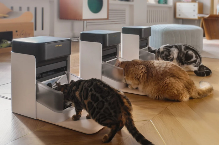 Petlibro Automatische Voerbak met Chipherkenning PLAF301 Zwart product in gebruik