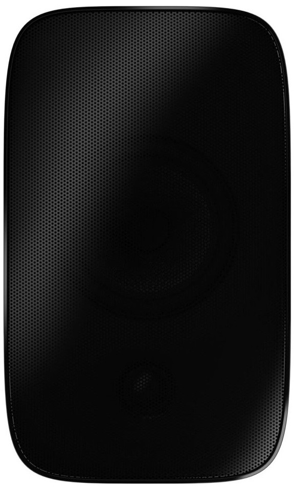 Bowers & Wilkins AM-1 Black (per pair) front